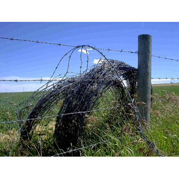 Galvanized Barbed Iron Wire (XMB06)